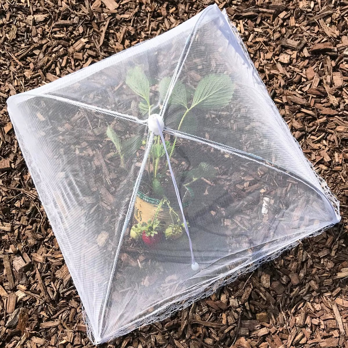 Picnic Food Covers for outside Mesh: 3/6/12 Packs 17 Inch Pop up Fine Fly Net for Fruit - Collapsible Screen Umbrella Food Tent